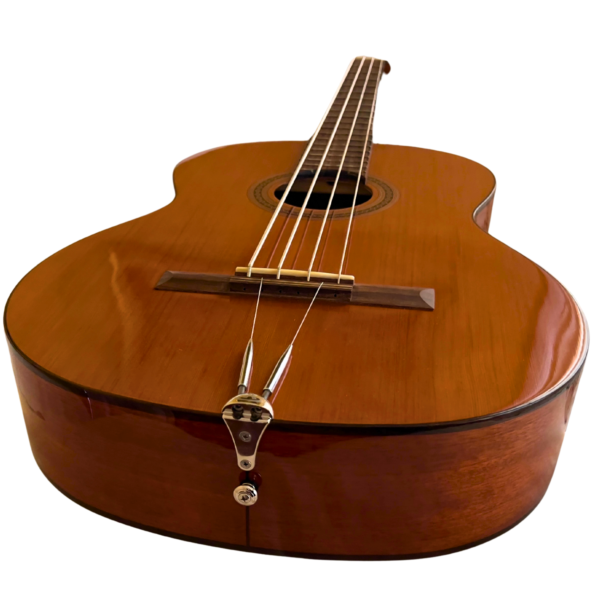 Cordoba C5 Turbo Bass