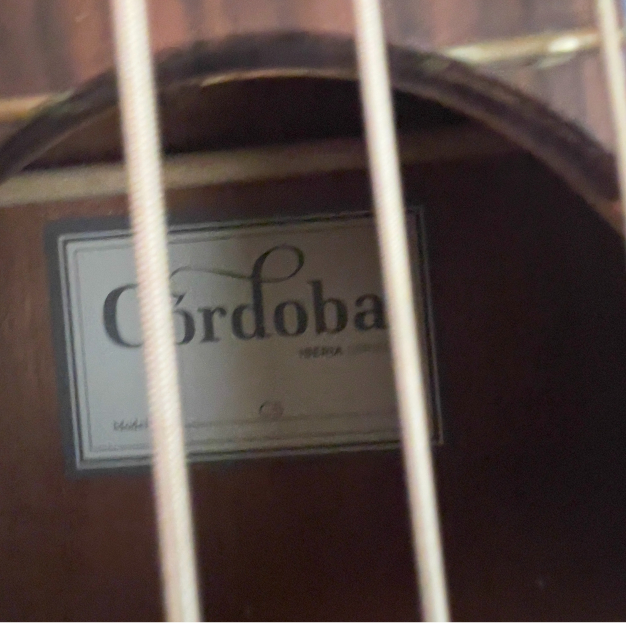 Cordoba C5 Turbo Bass