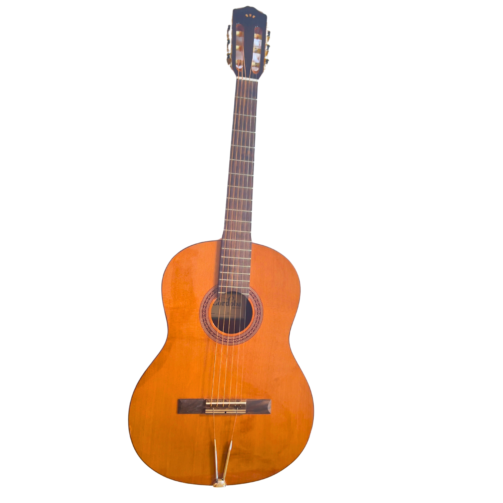 Cordoba C5 Turbo Guitar