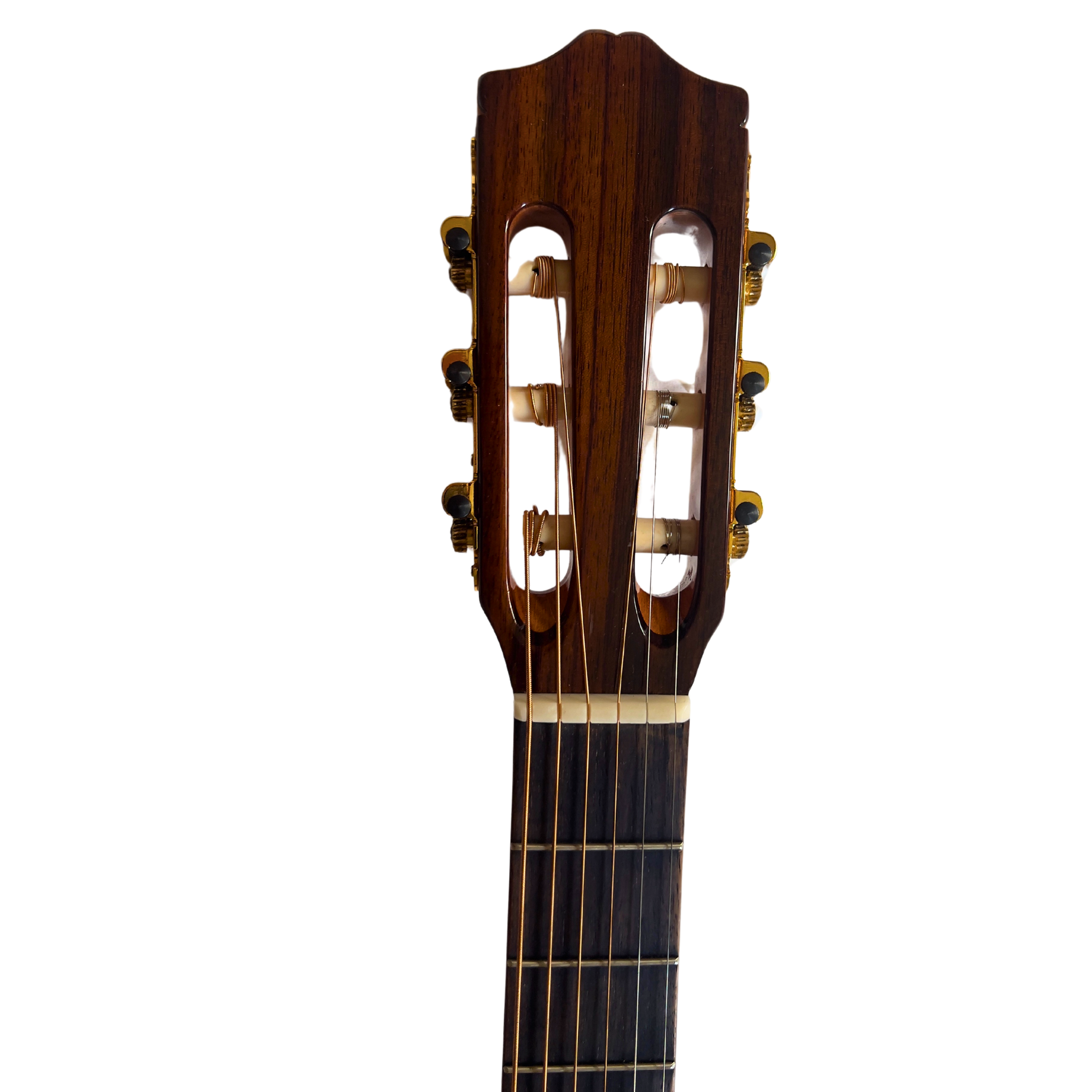 Cordoba C5 Turbo Guitar