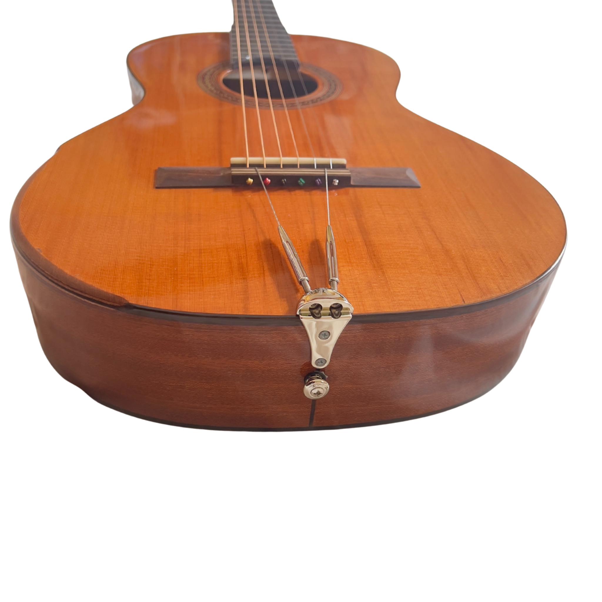 Cordoba Cadete Turbo Guitar