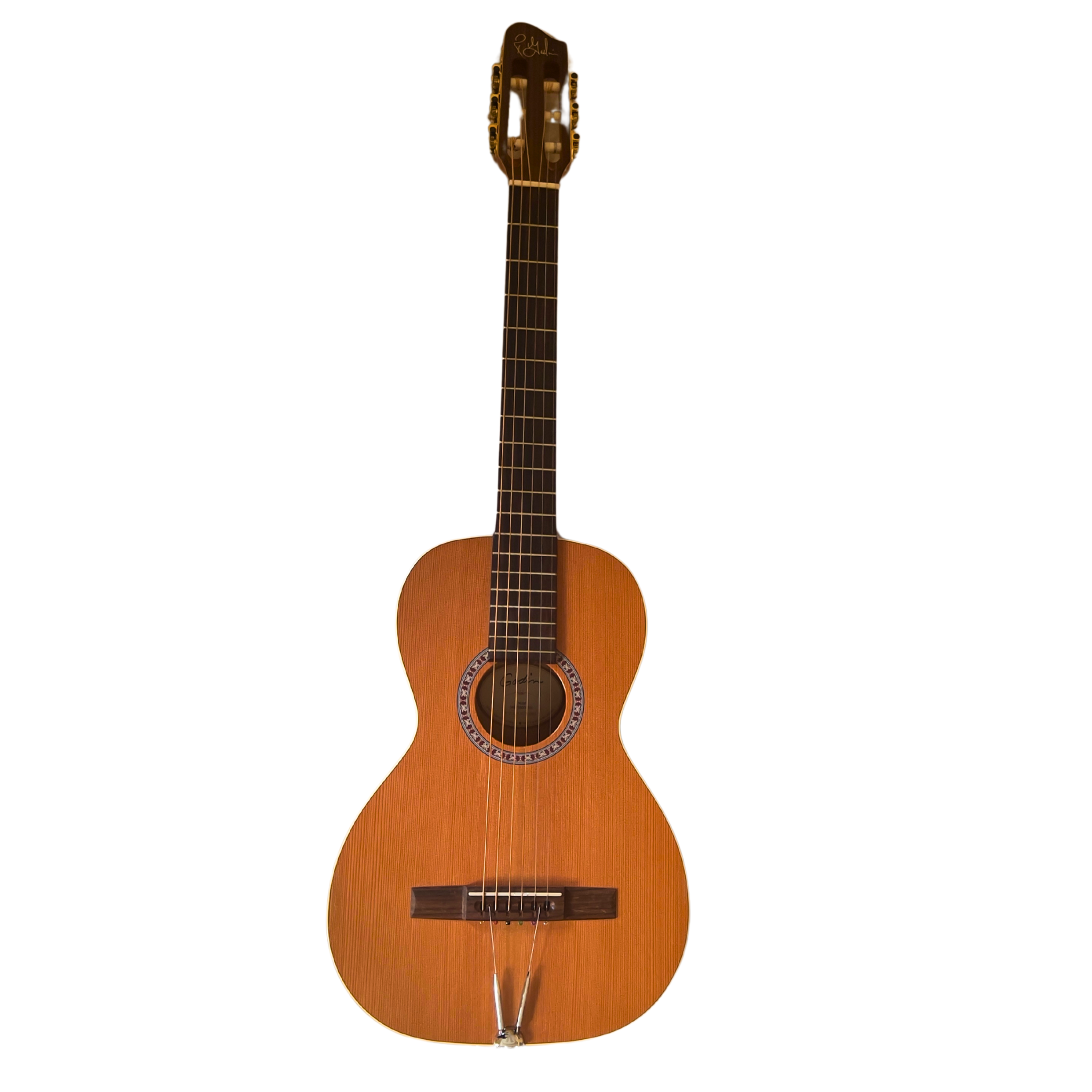 Godin Motif Turbo Guitar