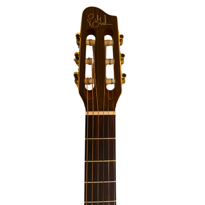 Godin Motif Turbo Guitar