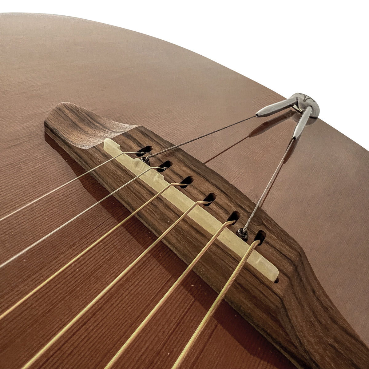 TurboTail close-up on a Breedlove guitar