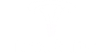 Turbo Guitar