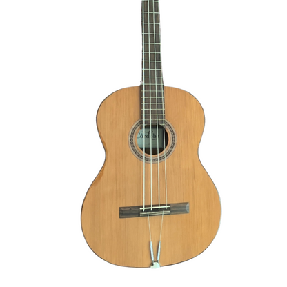 Turbo Guitars and Basses For Sale