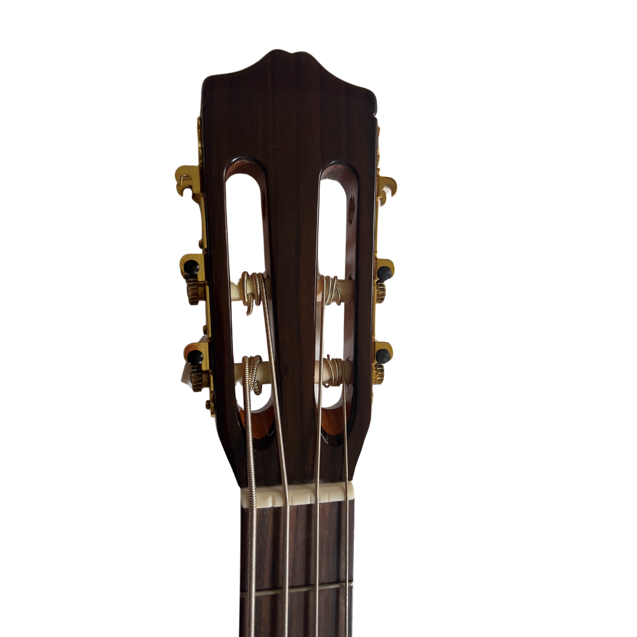 Cordoba C5 Turbo Bass